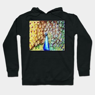 PEACOCK Hoodie